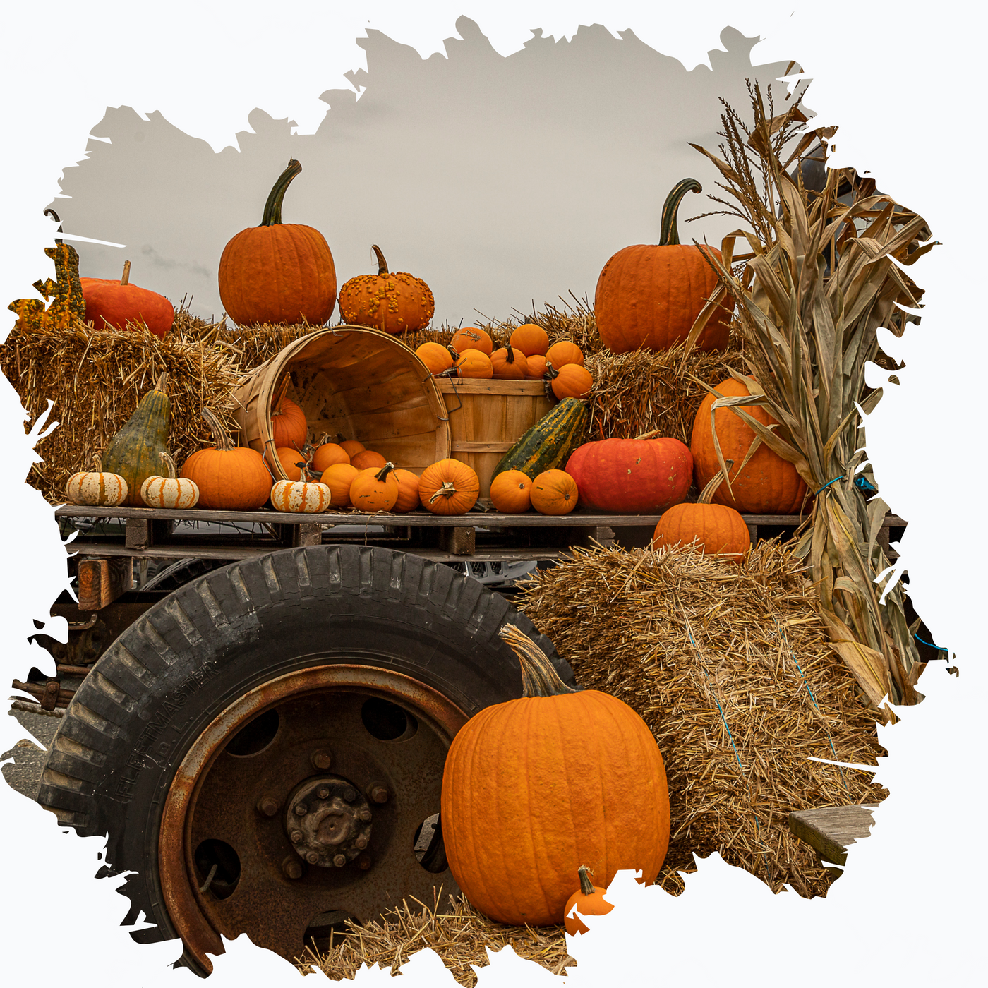 halloween mcc pumpkin truck trailer truck hauling cargo fall autumn trucking road