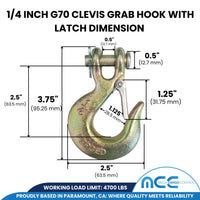 Load image into Gallery viewer, Grade 70 Clevis Slip Hook w/ Latch
