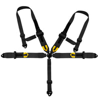 Load image into Gallery viewer, 5 Point Safety Harness Camlock 3＂Strap Seat Belt- Black coated
