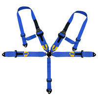 Load image into Gallery viewer, 5 Point Safety Harness Camlock 3＂Strap Seat Belt- Black coated
