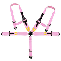 Load image into Gallery viewer, 5 Point Safety Harness Camlock 3＂Strap Seat Belt- Black coated
