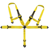 Load image into Gallery viewer, 5 Point Safety Harness Camlock 3＂Strap Seat Belt- Black coated
