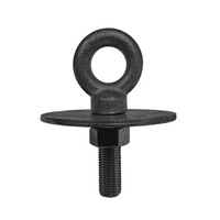 Load image into Gallery viewer, Harness Mounting Hardware - Flathead Eye Bolt &amp; Washer Kit
