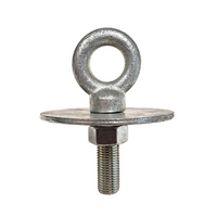 Load image into Gallery viewer, Harness Mounting Hardware - Flathead Eye Bolt &amp; Washer Kit
