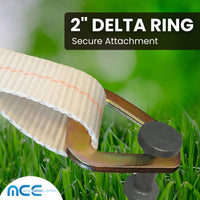 Load image into Gallery viewer, 2&quot; Ratchet Tent Strap With Delta Ring And Twisted Snap Hook
